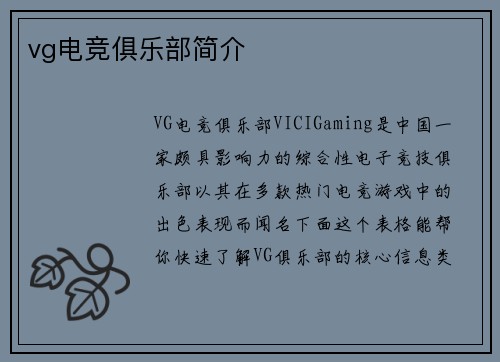 vg电竞俱乐部简介